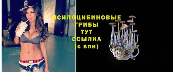 эйфоретик Зерноград