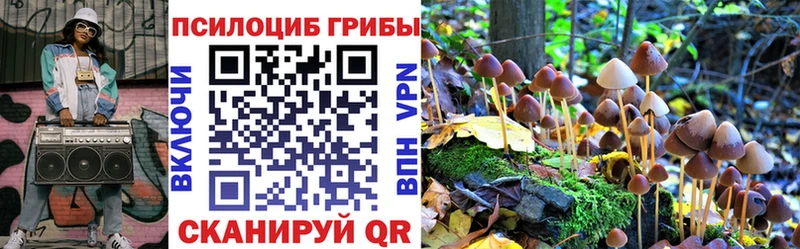 Галлюциногенные грибы Psilocybe  Купить закладки  Сызрань 