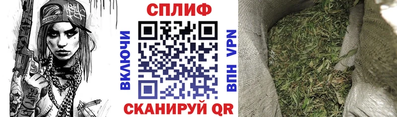Купить закладки  Сызрань  Конопля сатива 